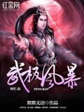 武极风暴