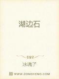 湖边石
