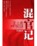 王三皮混官记