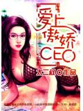 爱上傲娇CEO