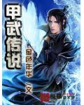 甲武传说