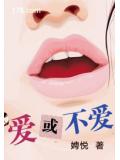 爱或不爱