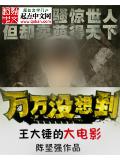 王大锤的大电影