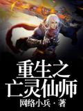 重生之亡灵仙师