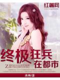 终极狂兵在都市