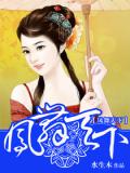凤舞天下