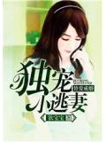 替爱成婚：独宠小逃妻