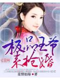 极品王爷来抢婚