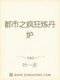 都市之疯狂炼丹炉