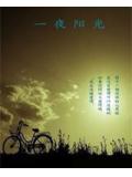 一夜阳光