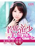再婚盛宠：首席帝少太危险