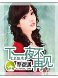 下一夜,不再见