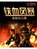 铁血风暴