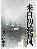 来自初始的风