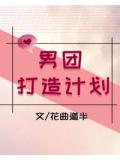 男团打造计划