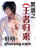 黑道之王者归来