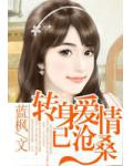 转身爱情已沧桑