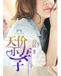 天价小妻子