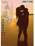 一夜迷情