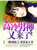 一婚到底,高冷男神送上门