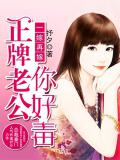 一嫁再嫁:正牌老公你好毒