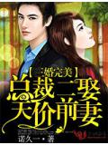三婚完美,总裁二擒天价前妻