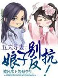 五夫寻妻:娘子别反抗!